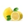 Лимон (свежие фрукты)