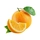 Апельсин (свежий фрукт)